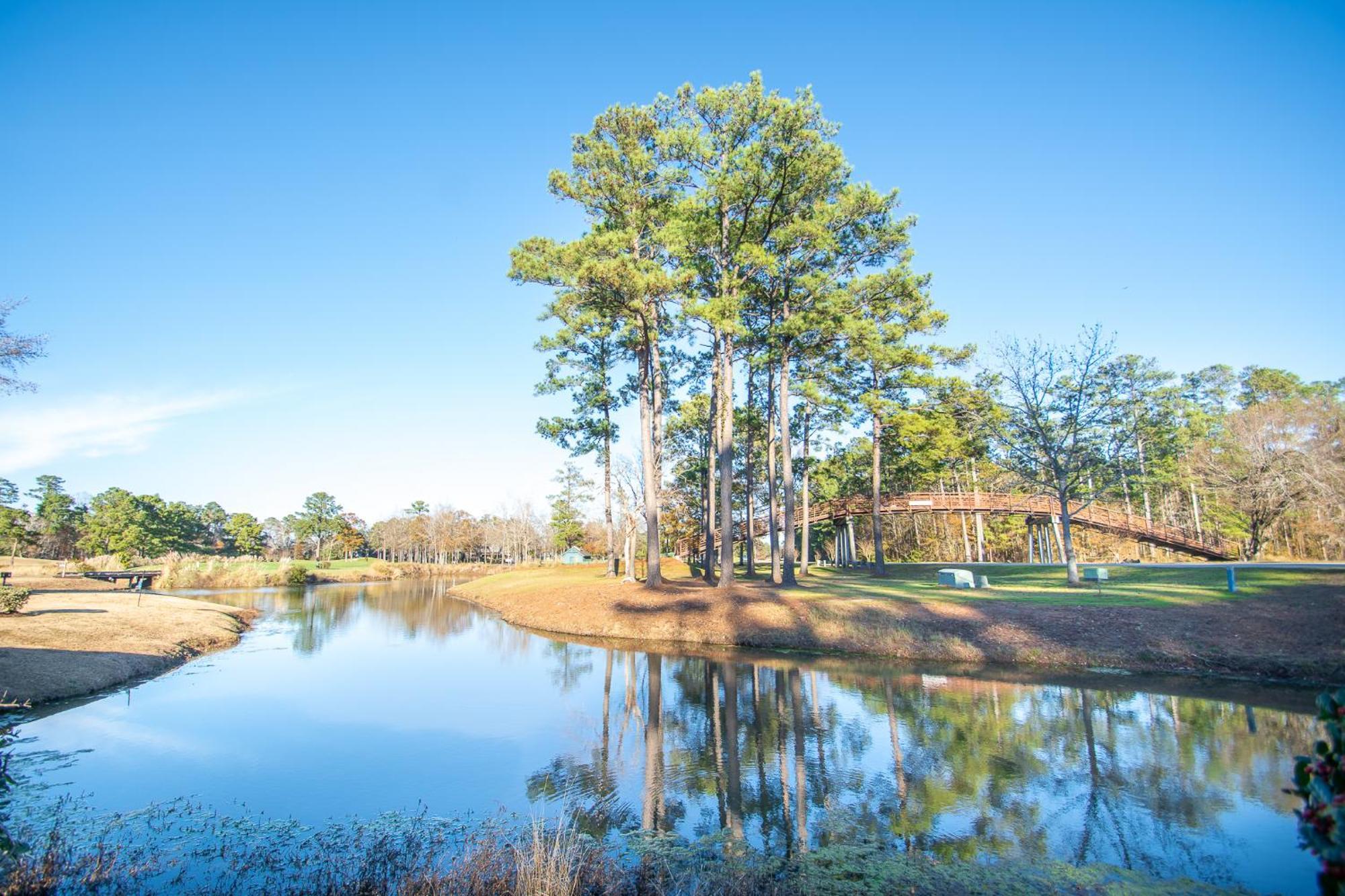 River Oaks 15-G By Palmetto Vacation Rentals Μιρτλ Μπιτς Εξωτερικό φωτογραφία